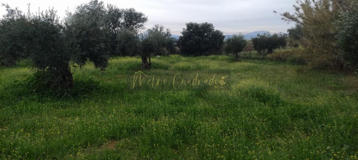 Venta de terreno en Don Álvaro