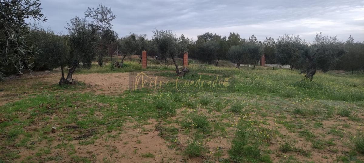 Venta de terreno en Don Álvaro