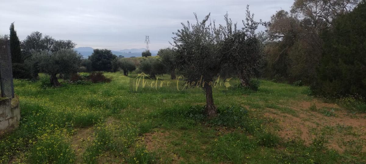 Venta de terreno en Don Álvaro