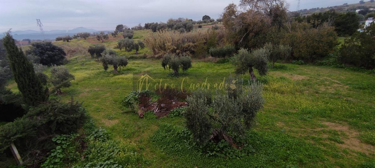 Venta de terreno en Don Álvaro