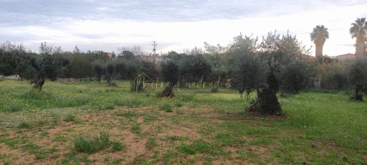 Venta de terreno en Don Álvaro