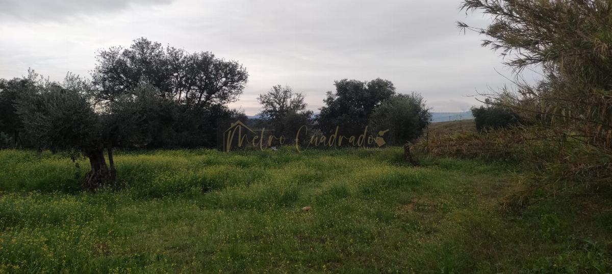 Venta de terreno en Don Álvaro
