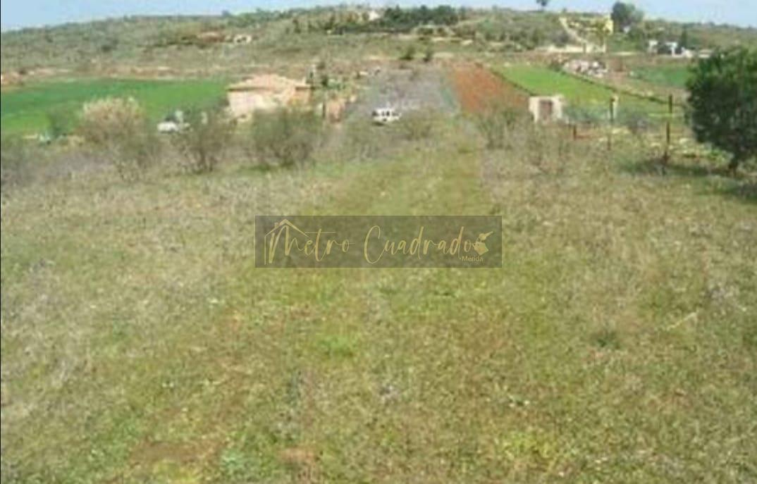For sale of land in Mérida