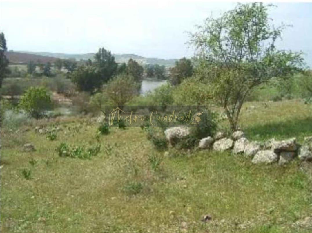For sale of land in Mérida