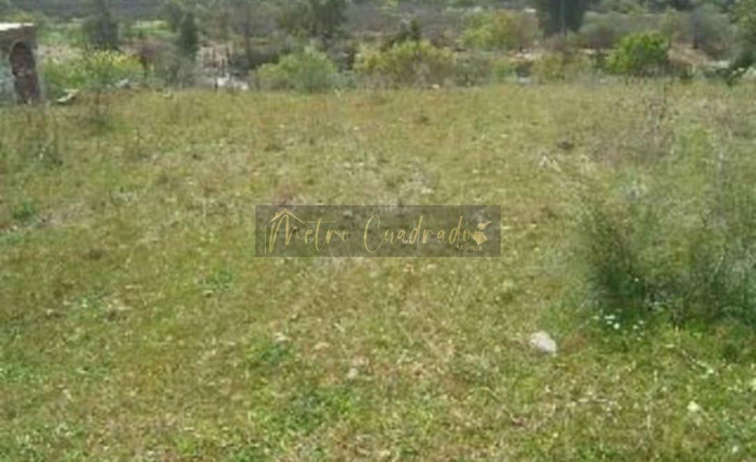 For sale of land in Mérida