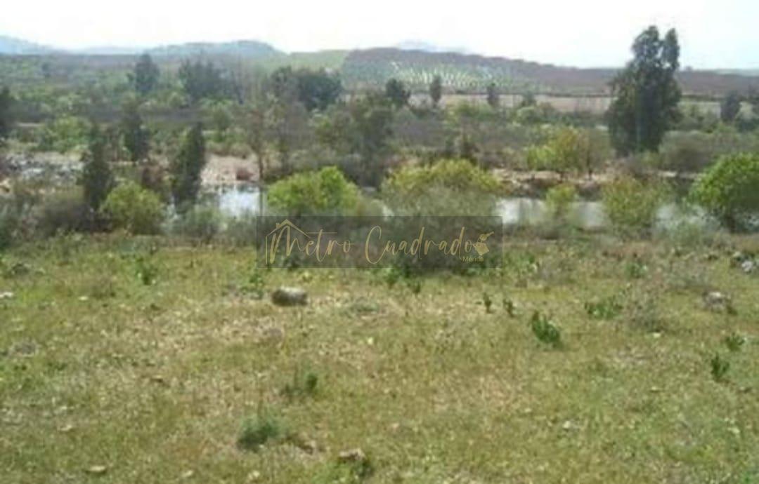 For sale of land in Mérida