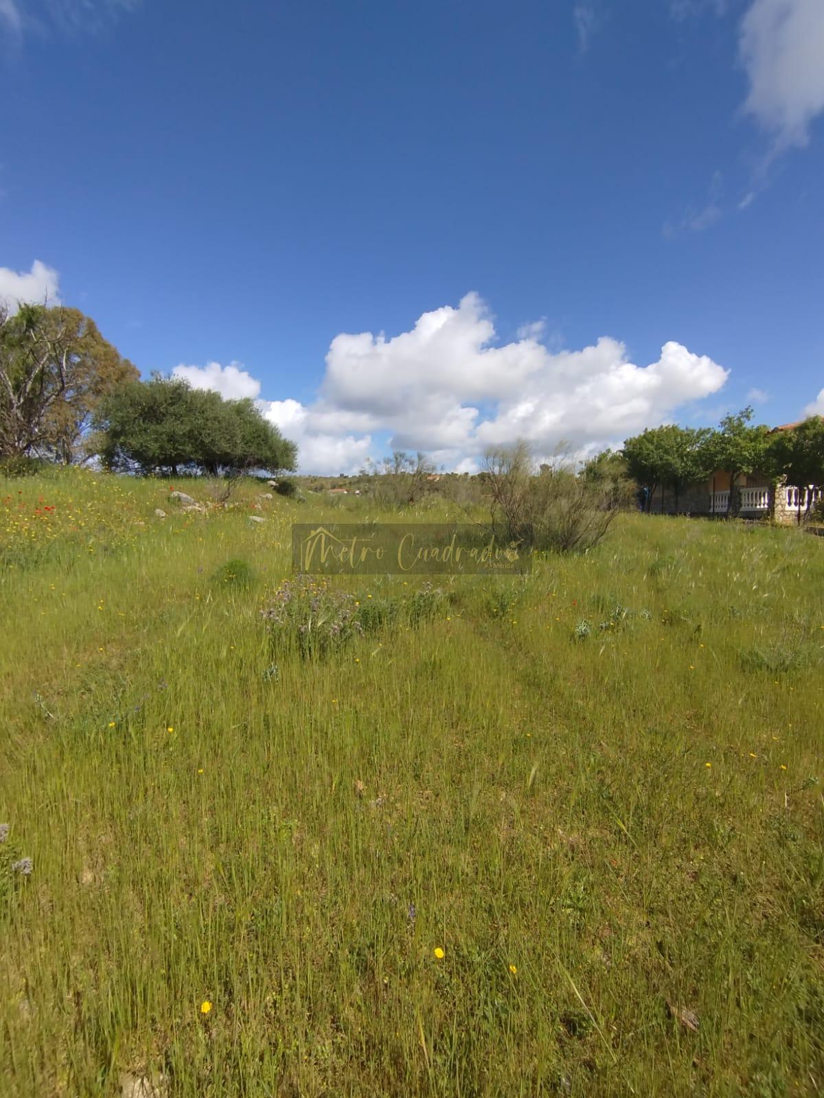 For sale of land in Mérida