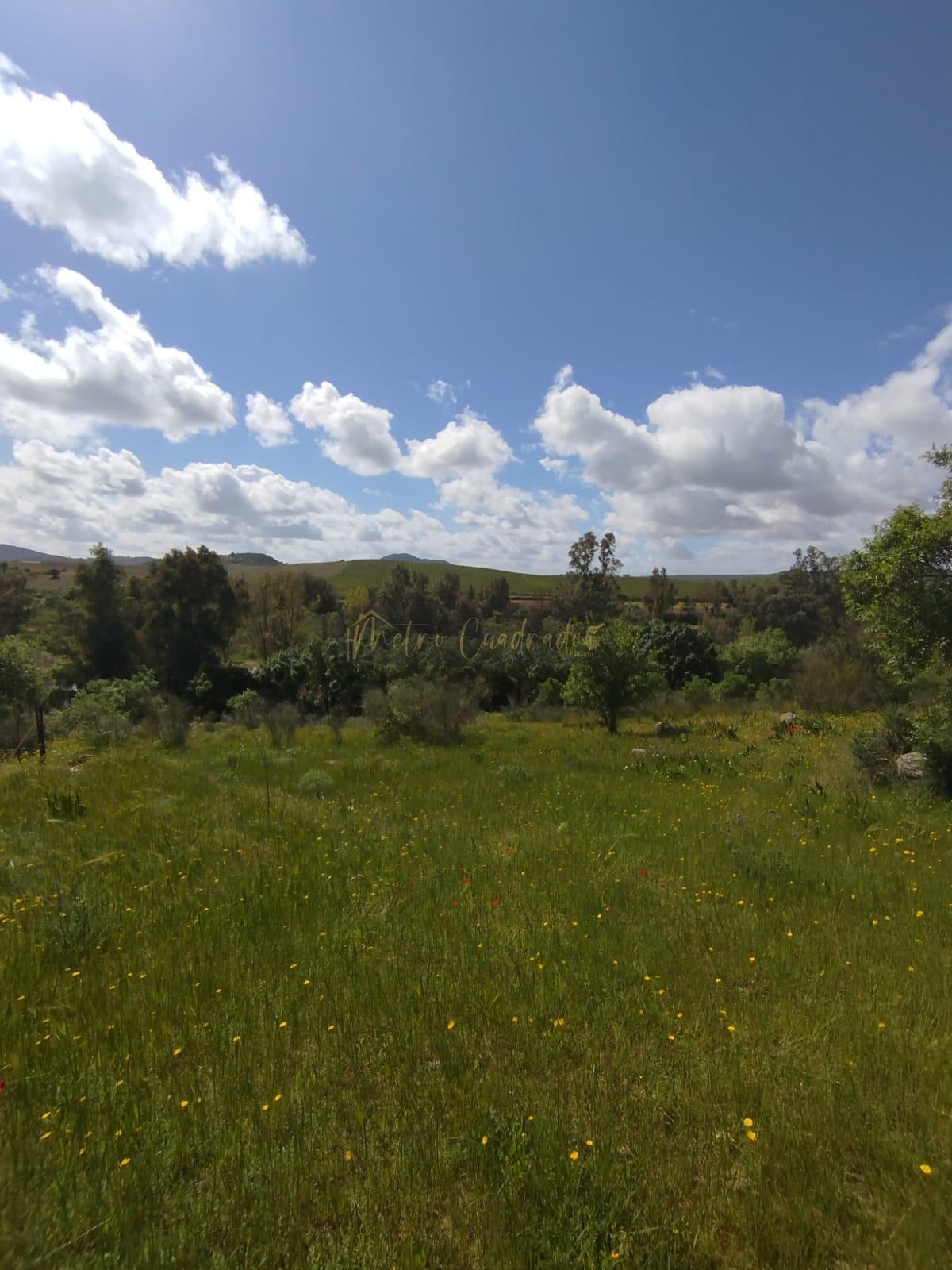 For sale of land in Mérida