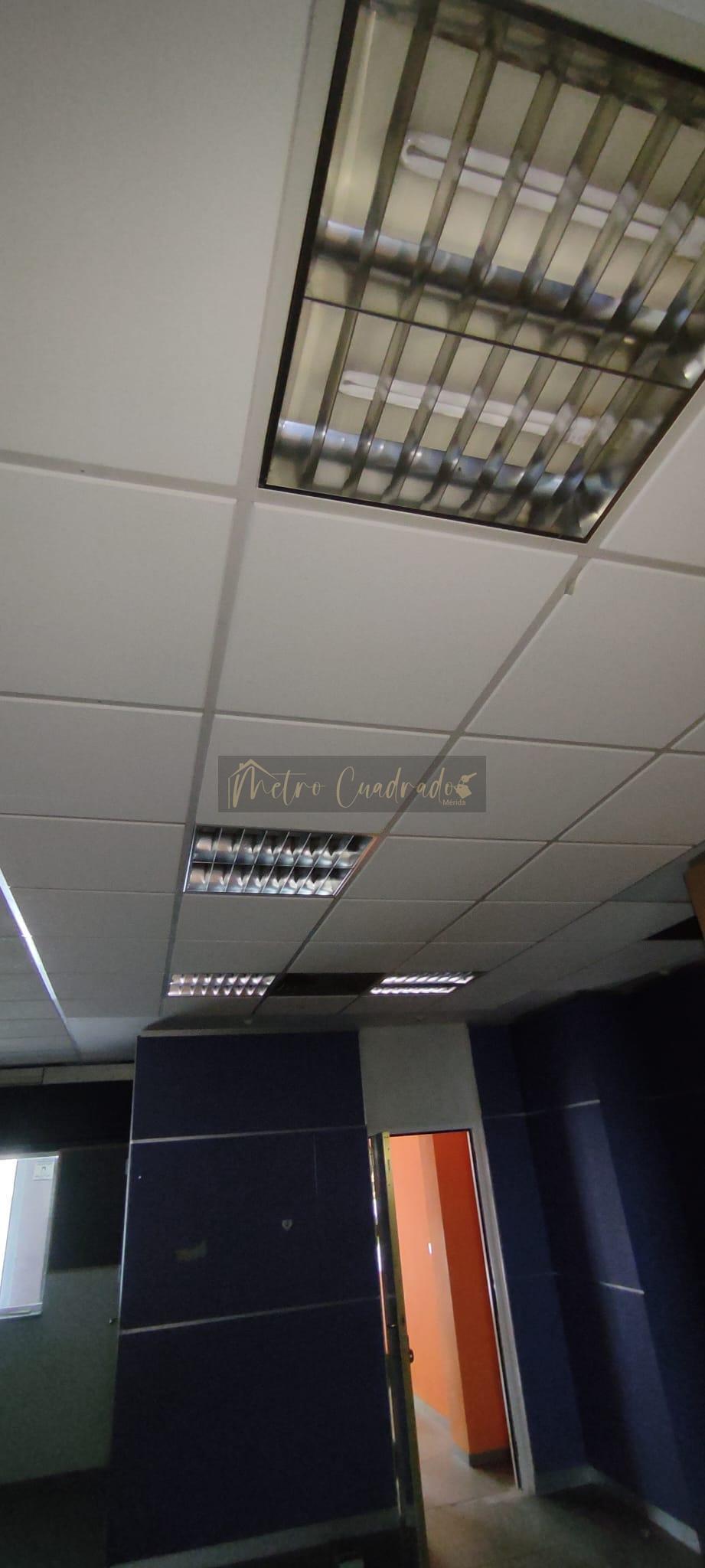 For rent of commercial in Mérida