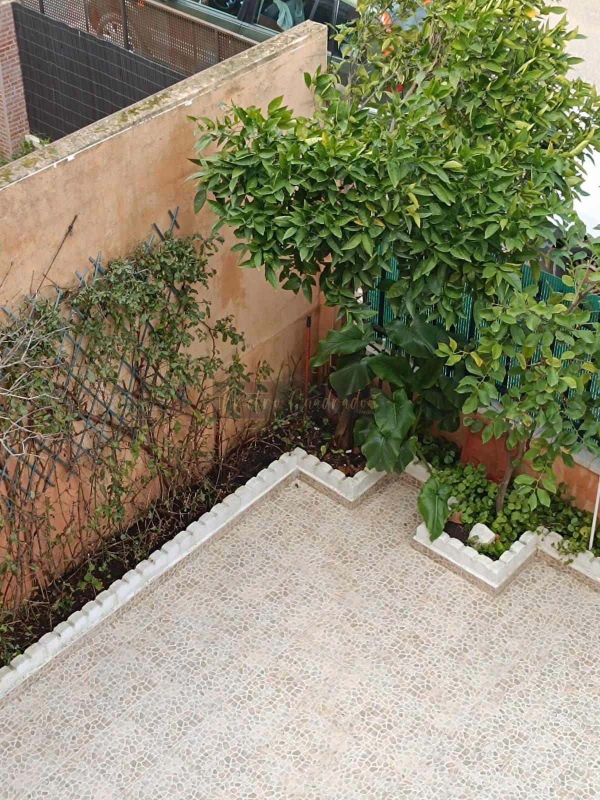Jardín