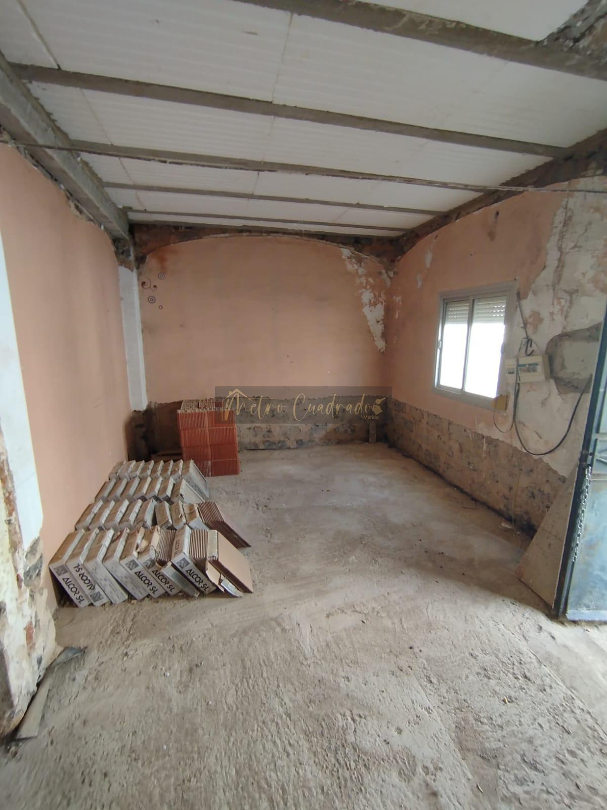 House body