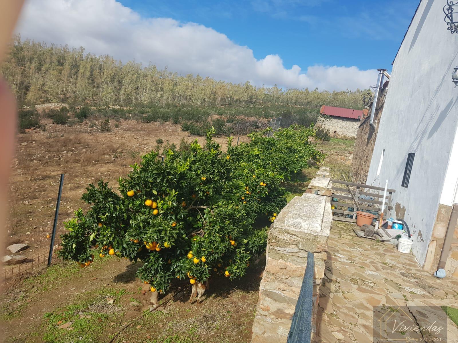 For sale of recreation property in Villanueva de la Serena