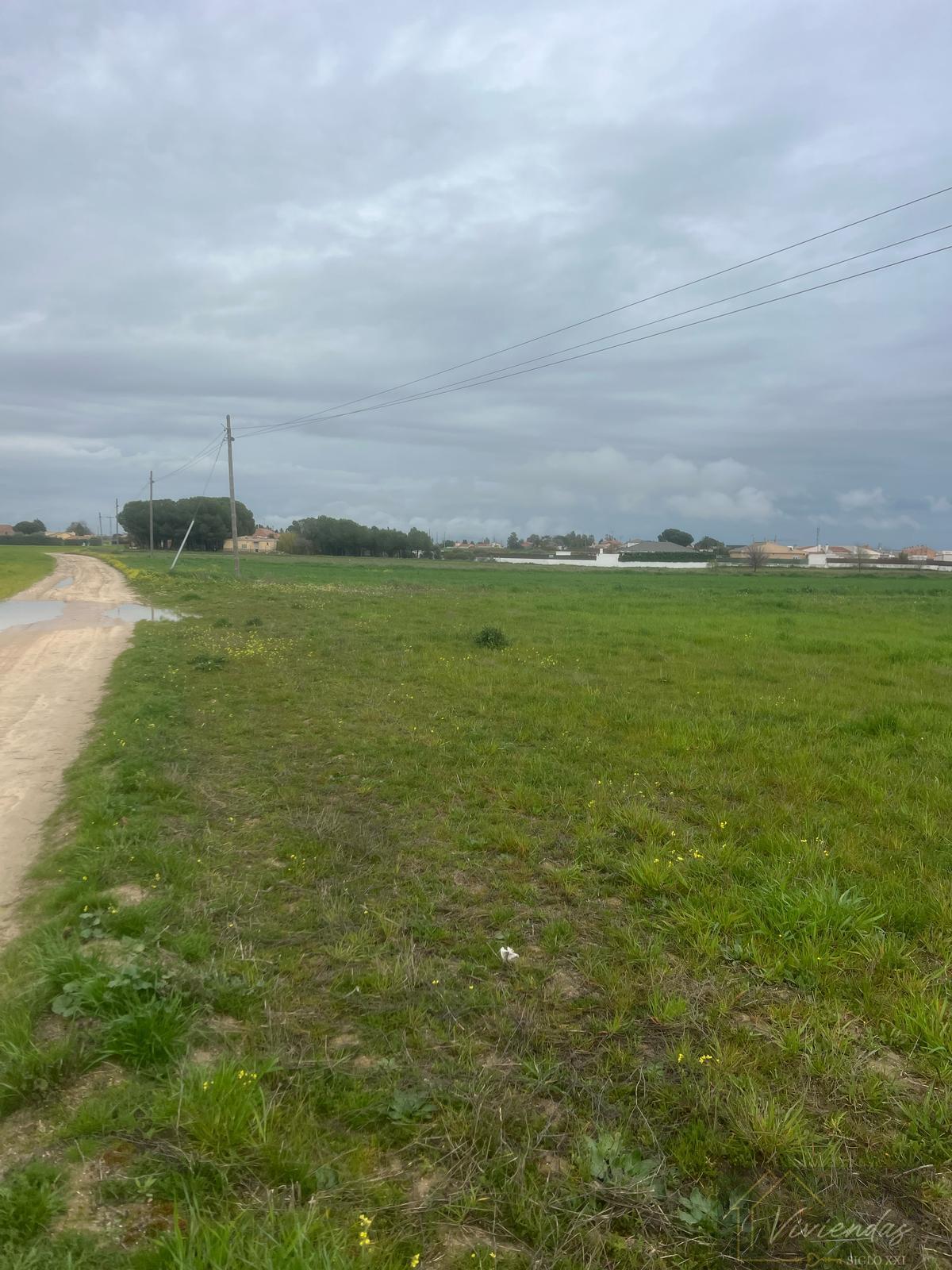 For sale of land in El Viso de San Juan
