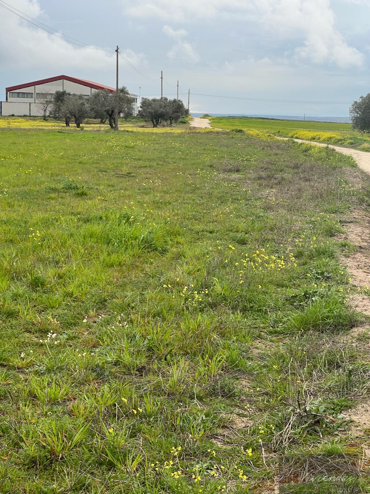 For sale of land in El Viso de San Juan