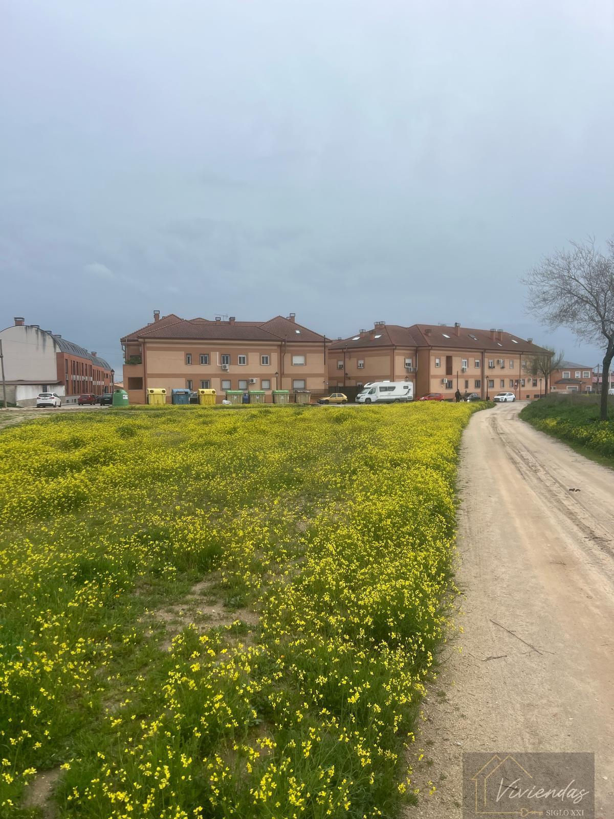 For sale of land in El Viso de San Juan