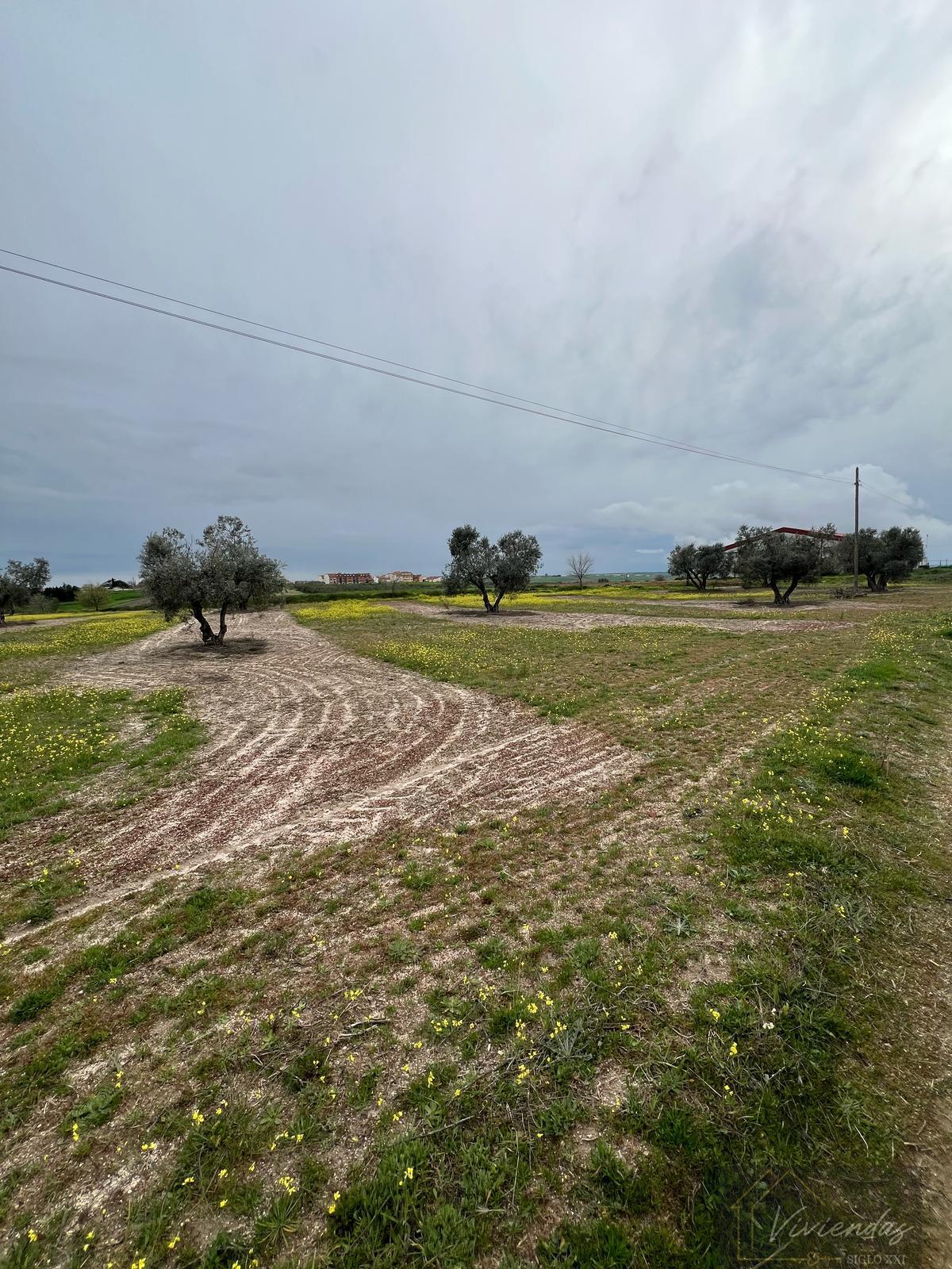 For sale of land in El Viso de San Juan