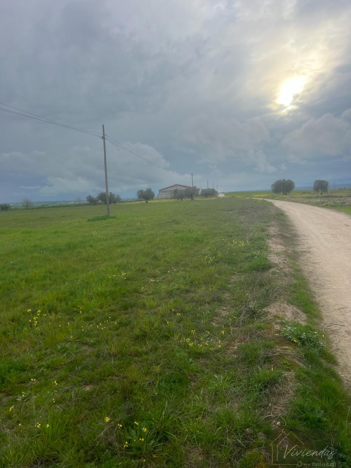 For sale of land in El Viso de San Juan