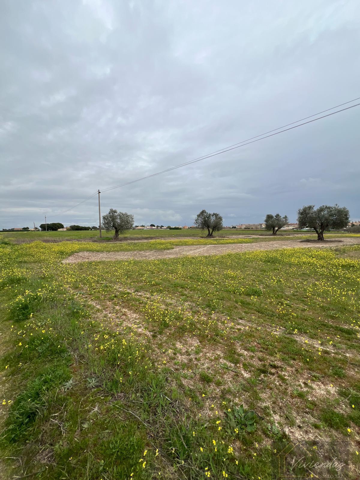 For sale of land in El Viso de San Juan