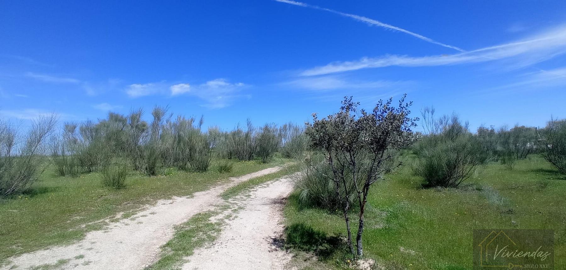Venta de terreno en Villanueva de Perales