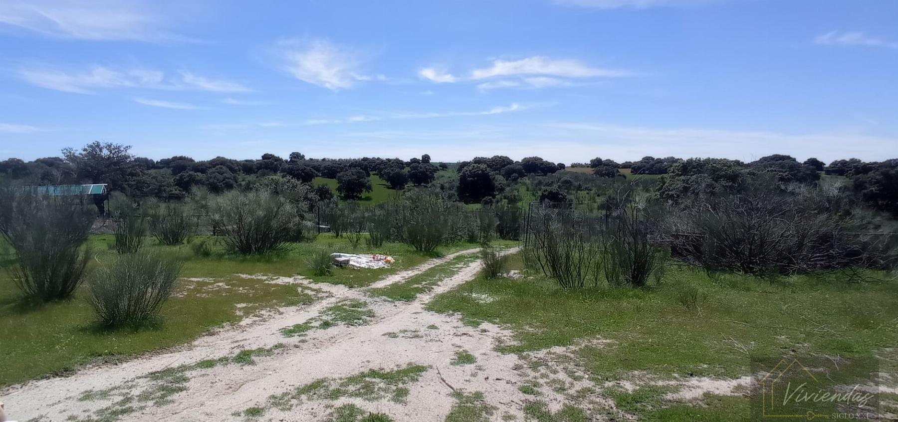 Venta de terreno en Villanueva de Perales