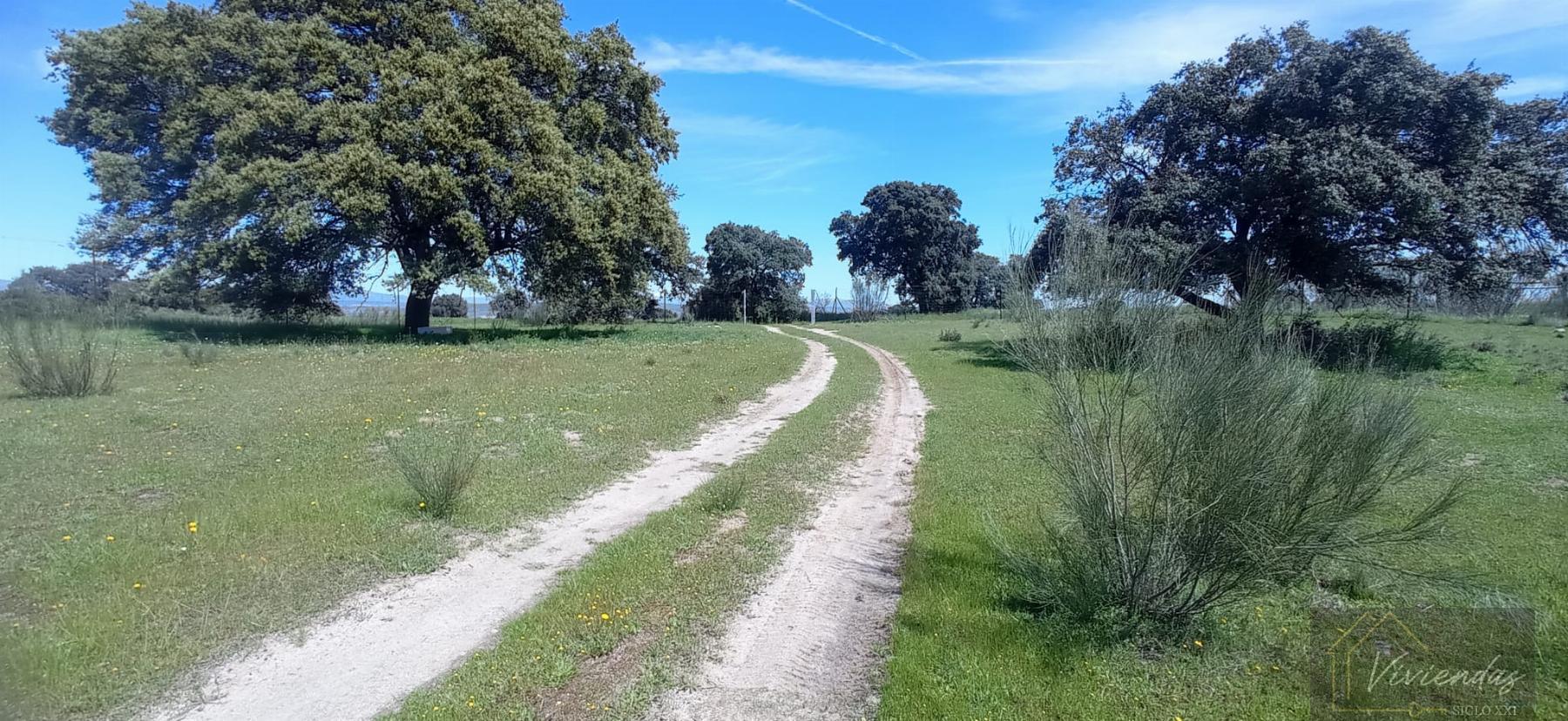 Venta de terreno en Villanueva de Perales