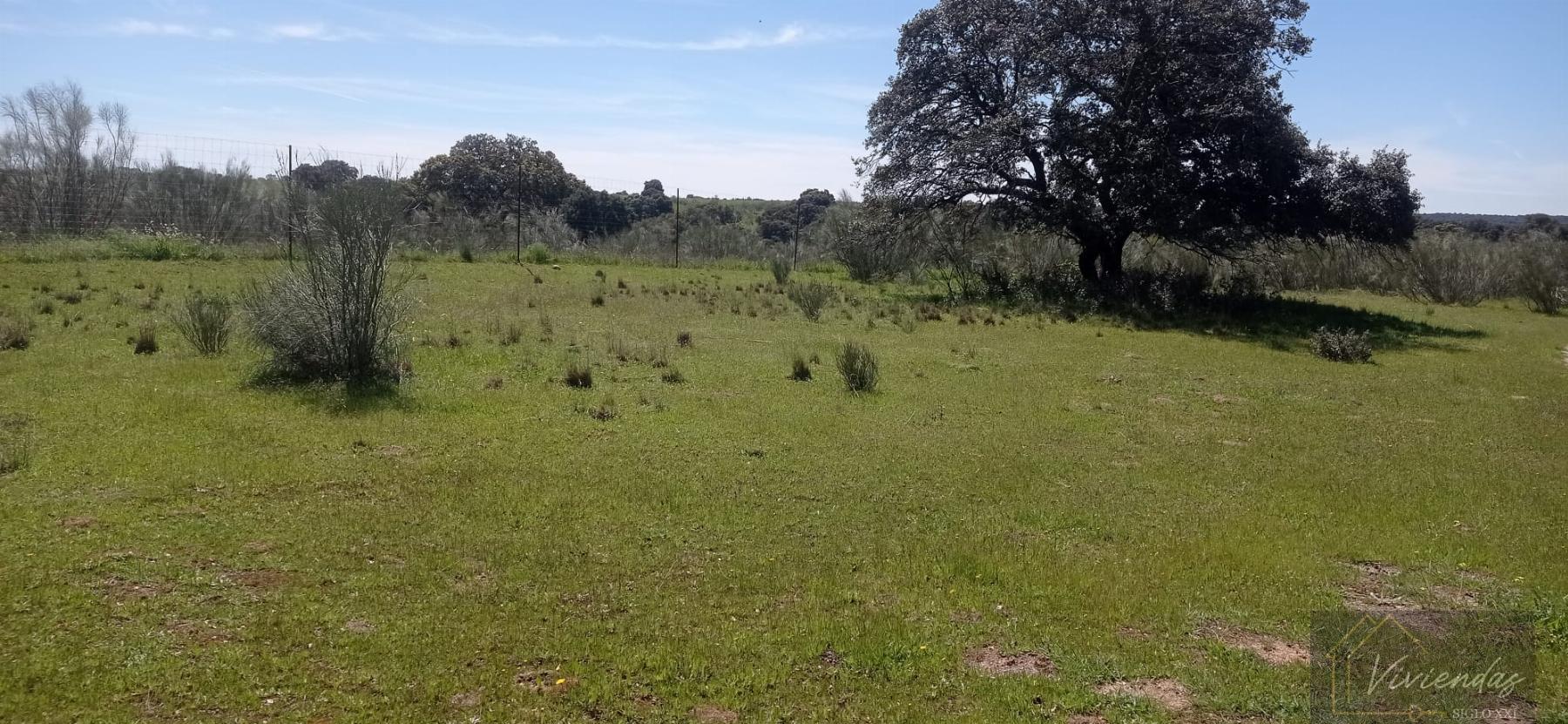 Venta de terreno en Villanueva de Perales