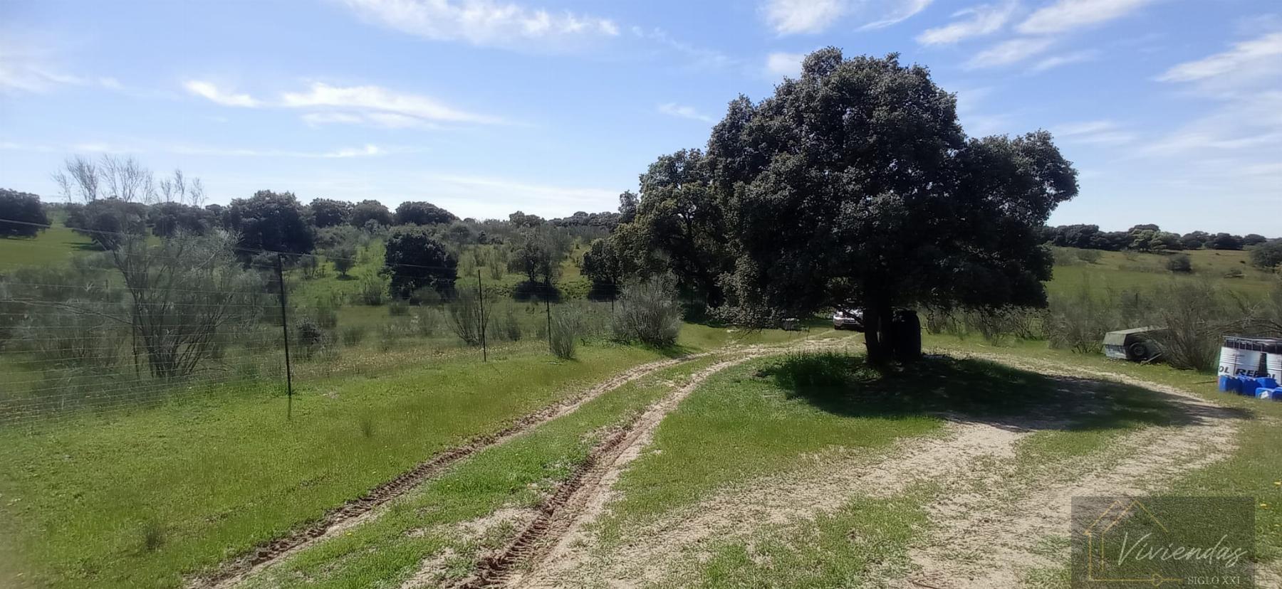 Venta de terreno en Villanueva de Perales