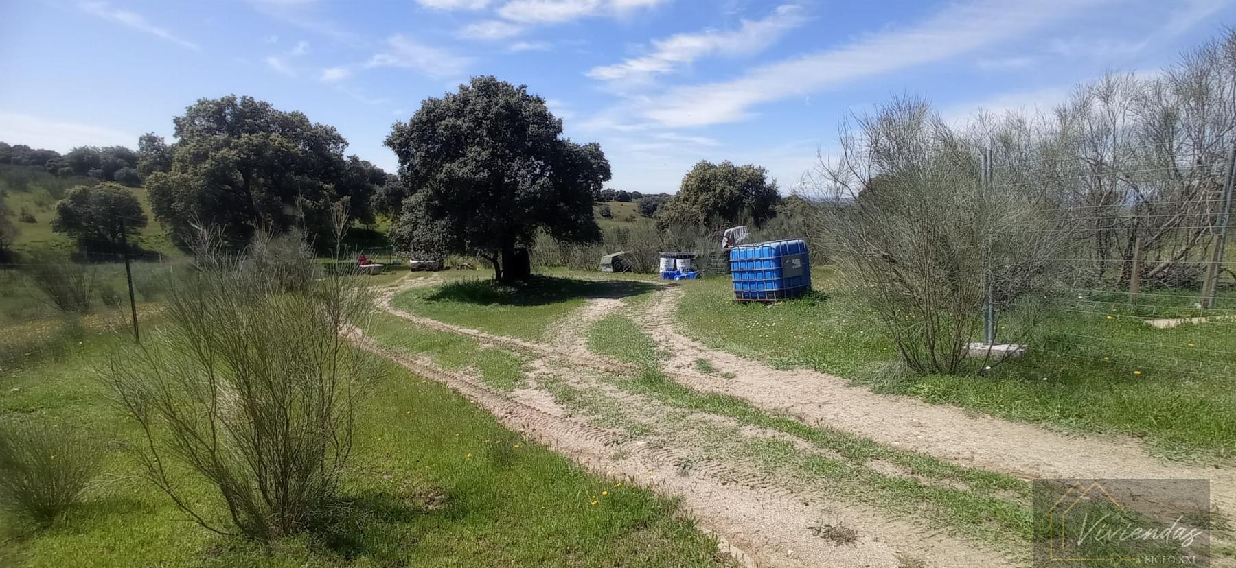 Venta de terreno en Villanueva de Perales