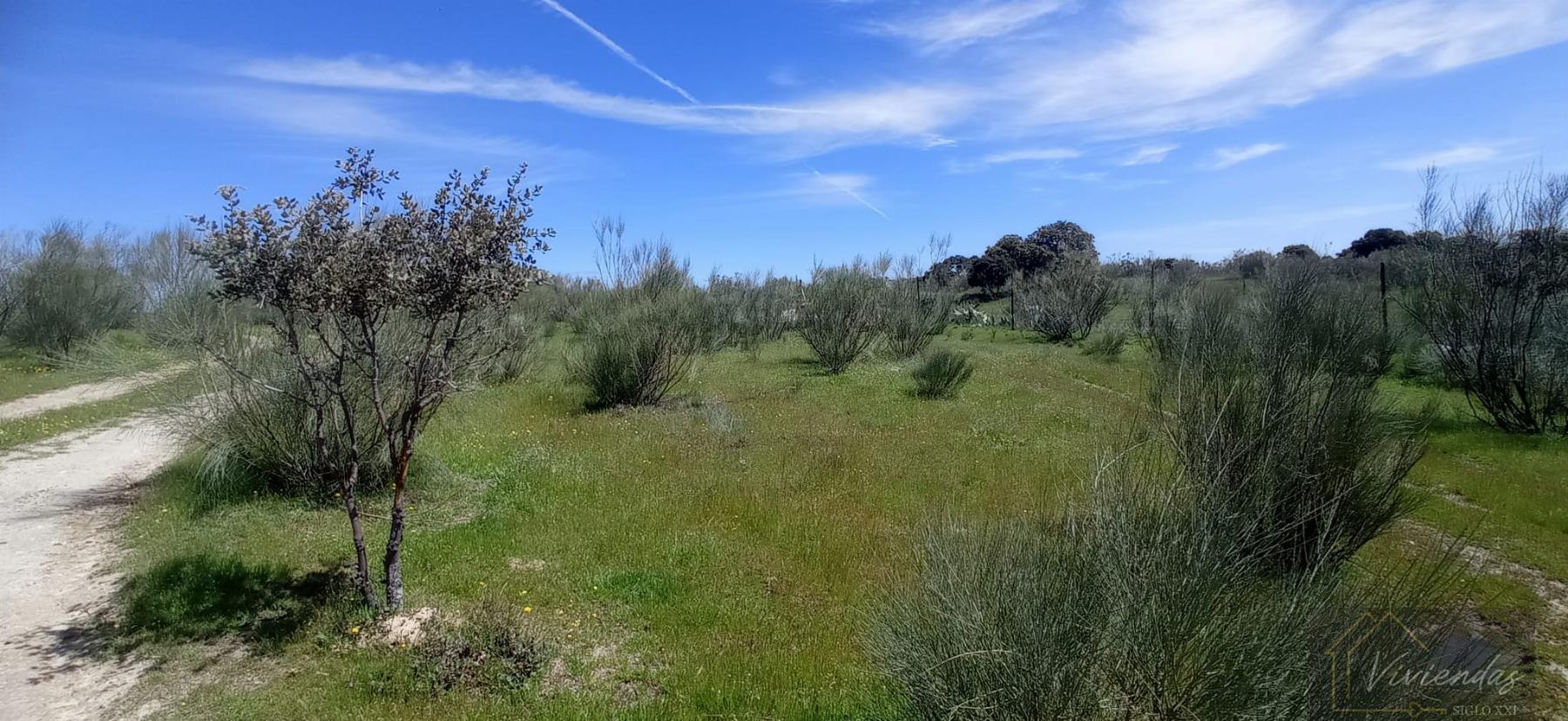 Venta de terreno en Villanueva de Perales
