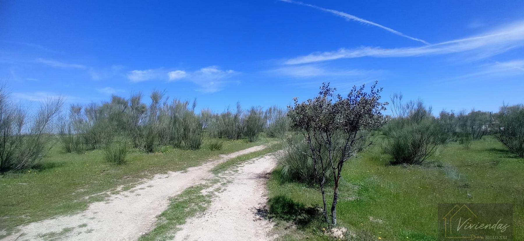 Venta de terreno en Villanueva de Perales
