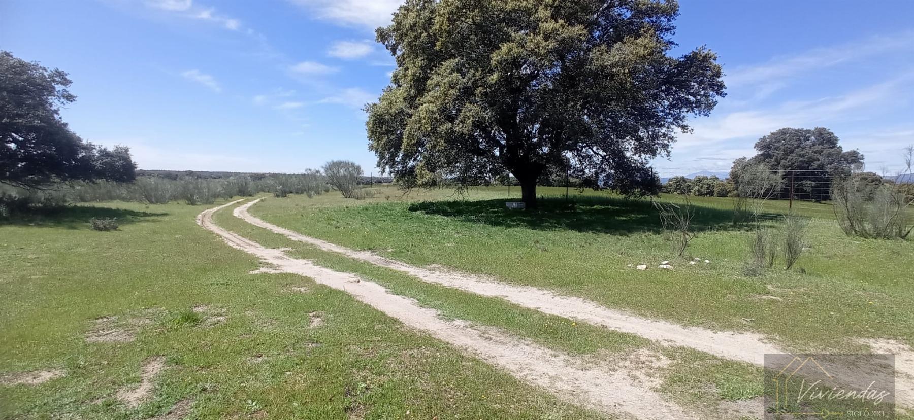 Venta de terreno en Villanueva de Perales