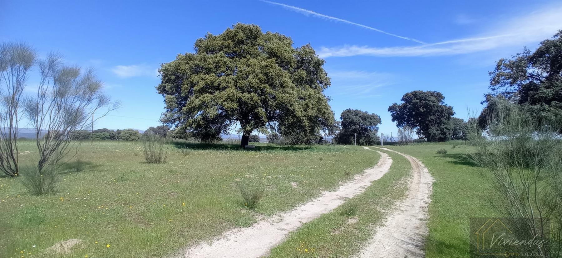 Venta de terreno en Villanueva de Perales