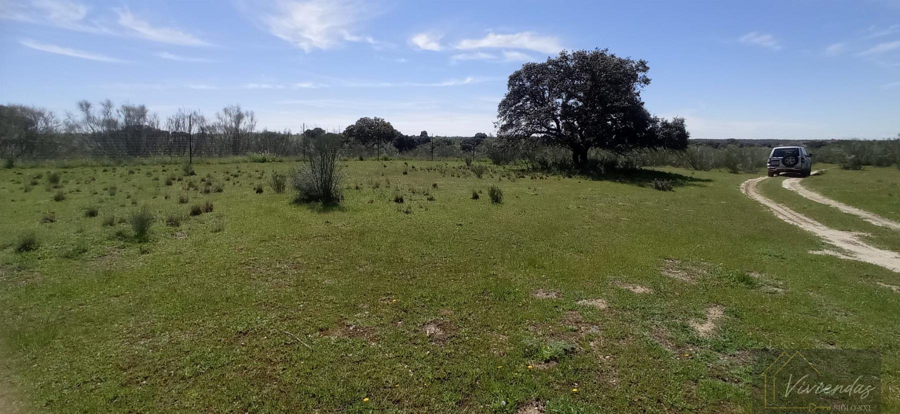 Venta de terreno en Villanueva de Perales