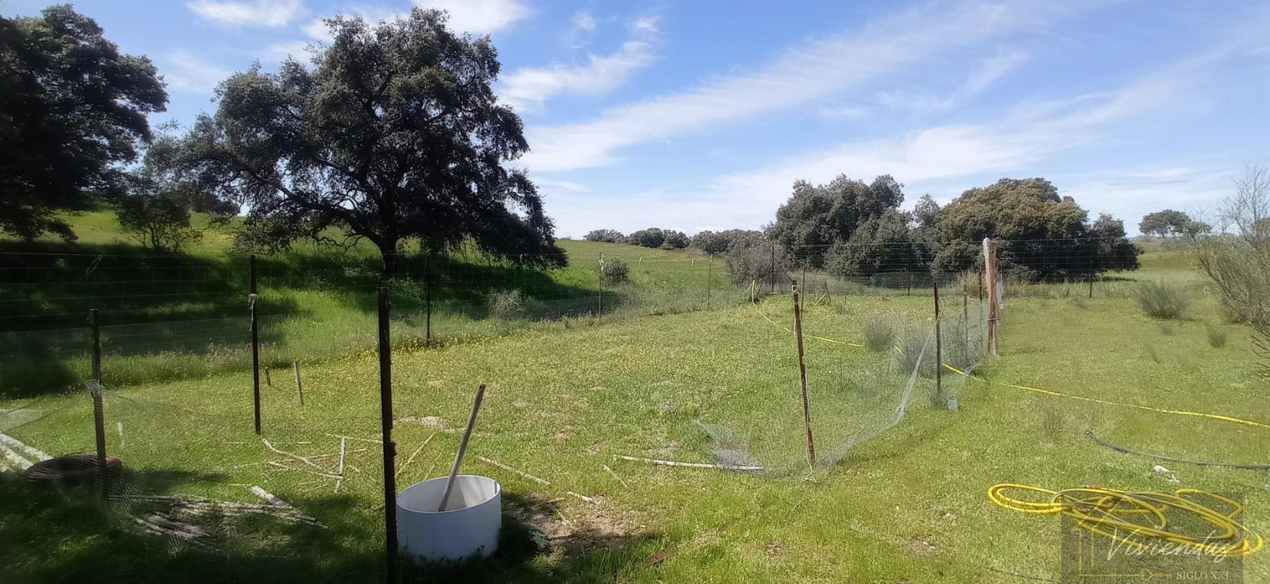 Venta de terreno en Villanueva de Perales