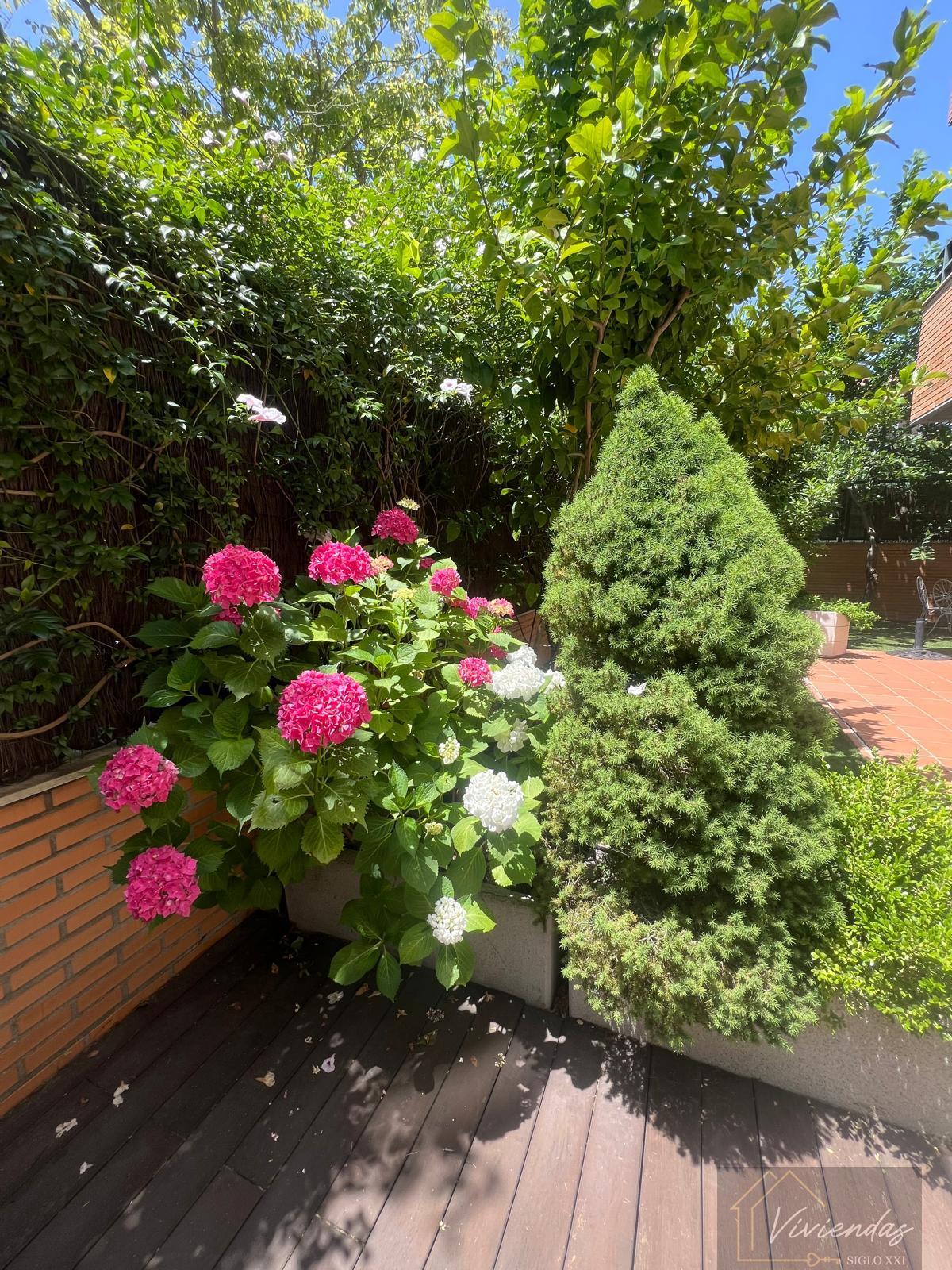 Jardín