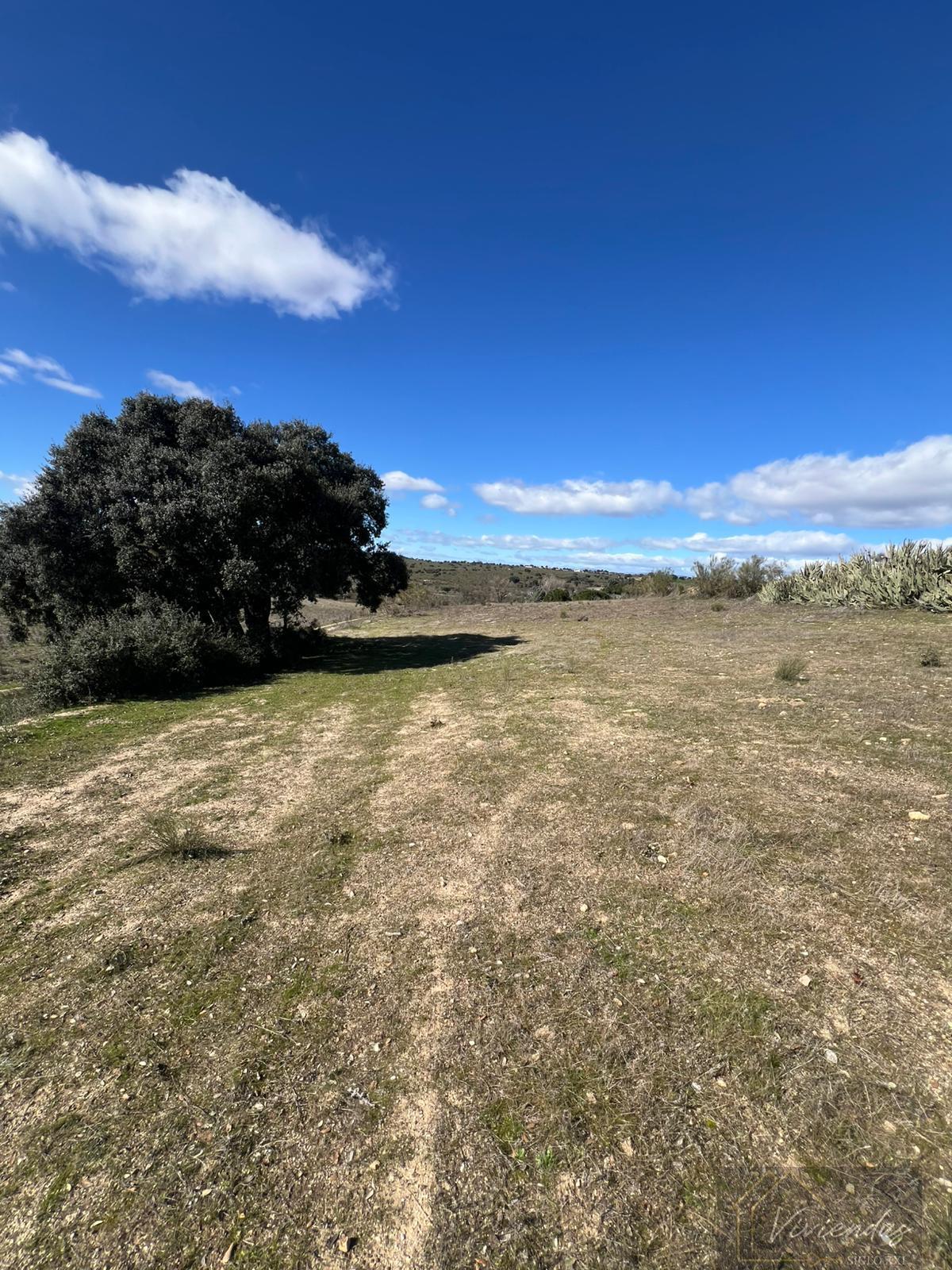 Venta de finca rústica en Villaviciosa de Odón