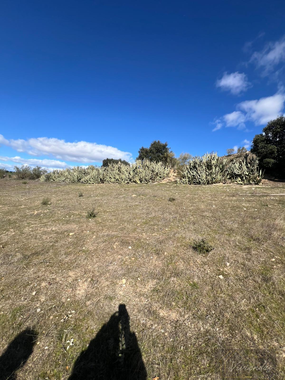 Venta de finca rústica en Villaviciosa de Odón