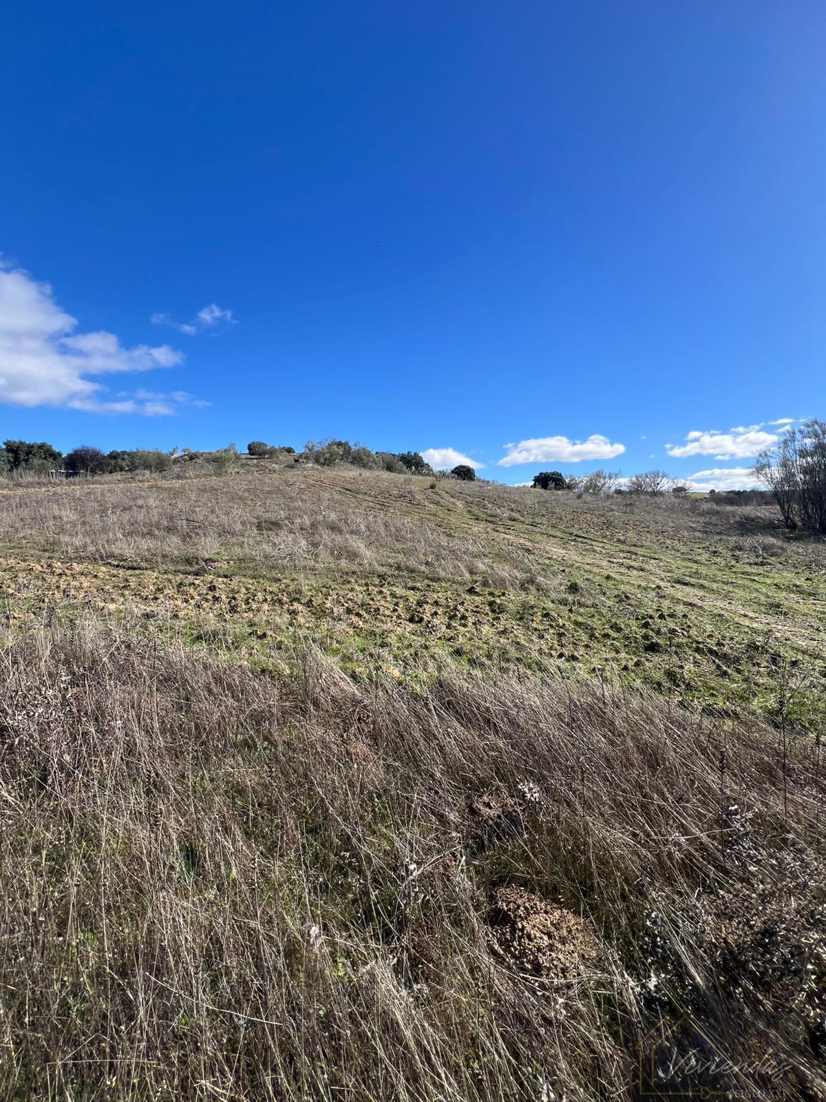 Venta de finca rústica en Villaviciosa de Odón