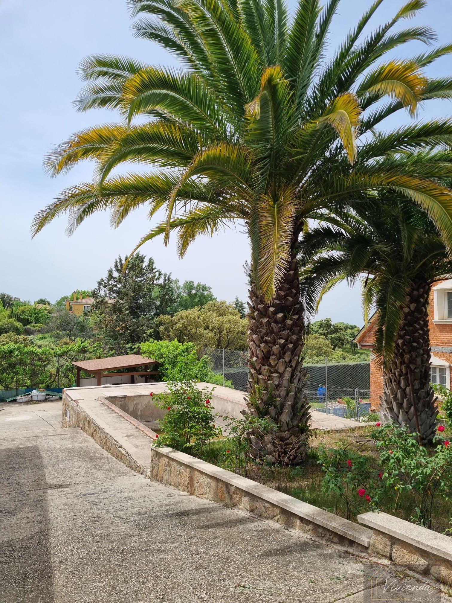 Alquiler de chalet en Villaviciosa de Odón