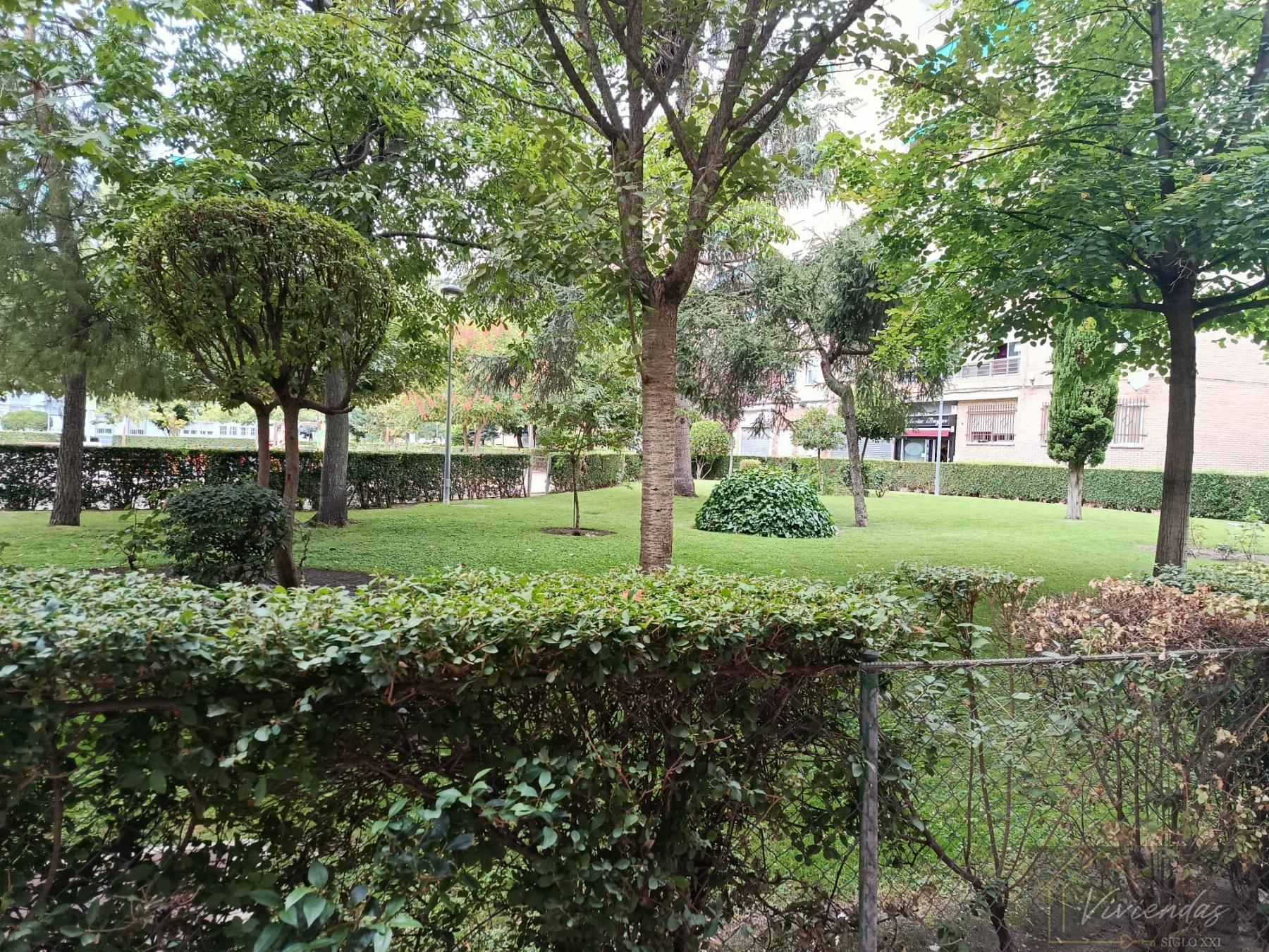 Jardín