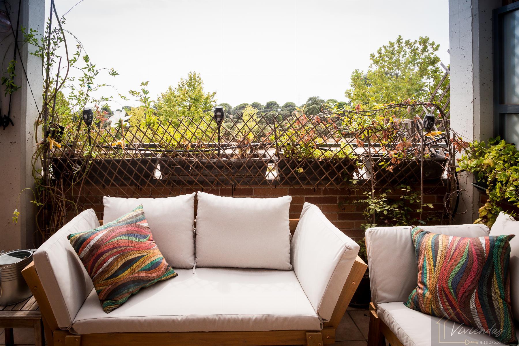 Terraza