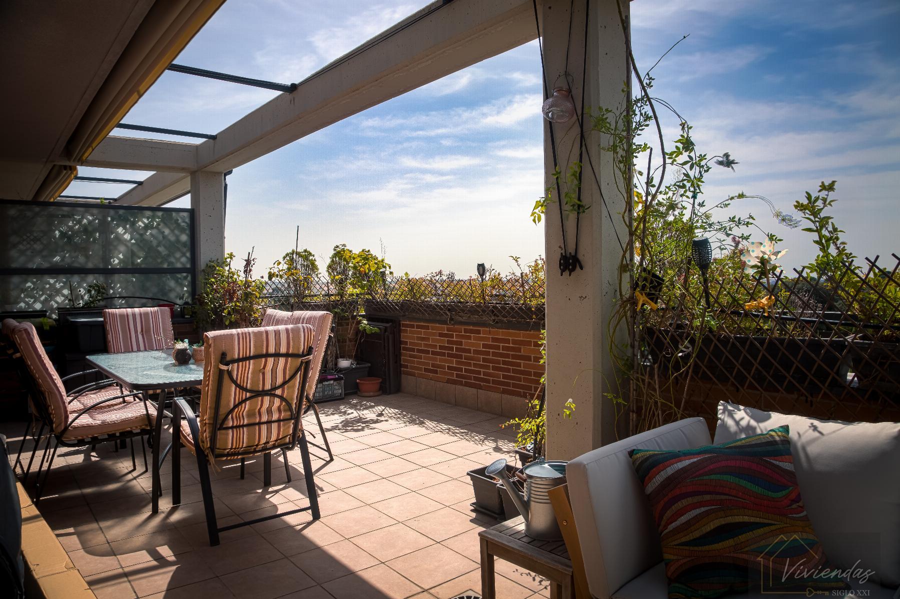 Terraza