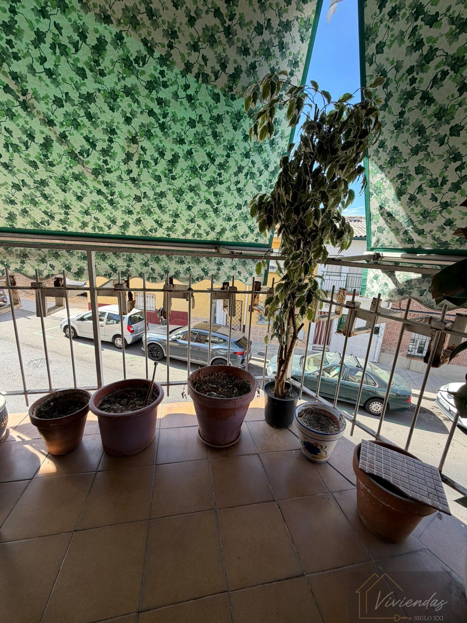 Terraza