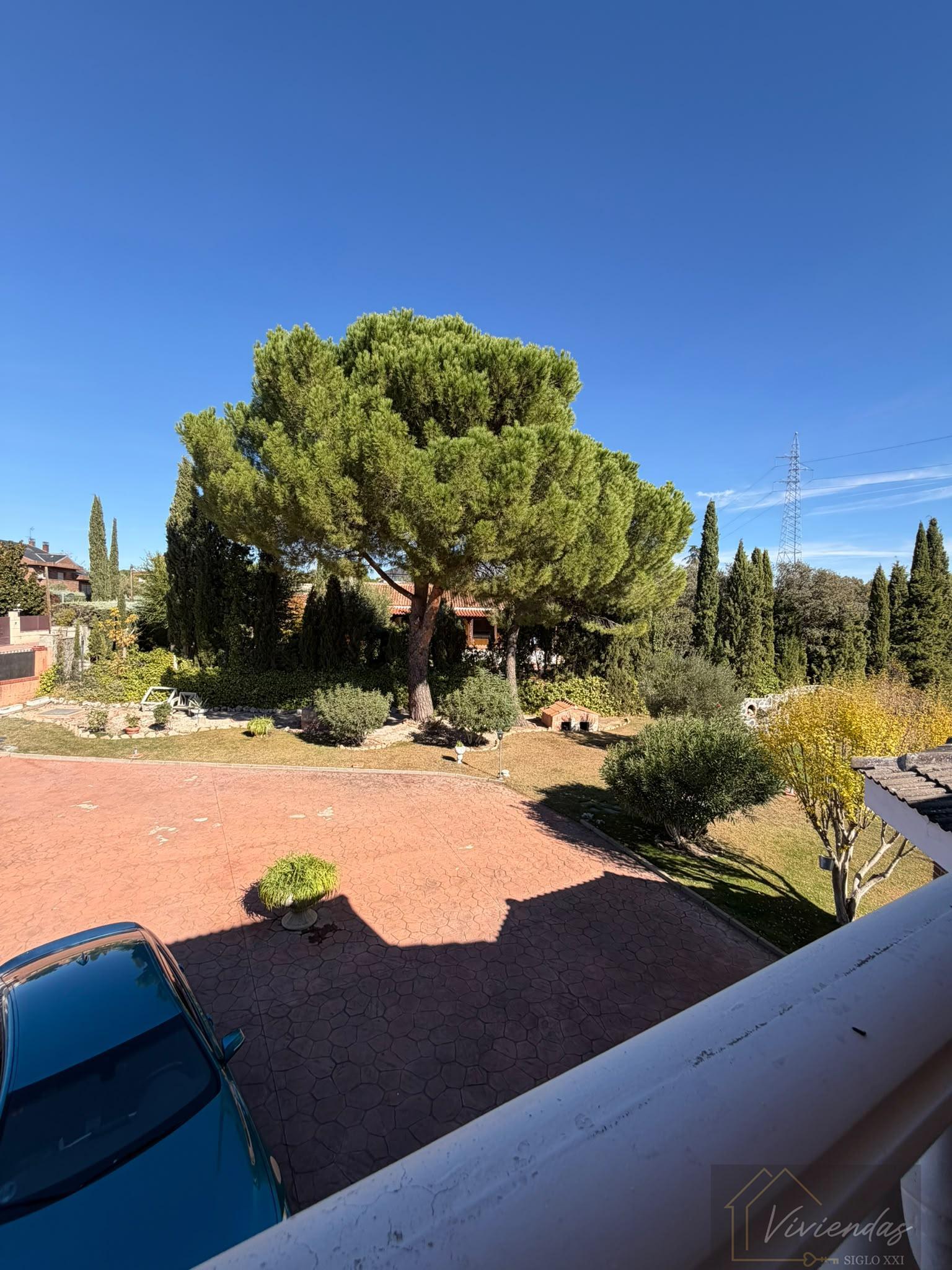 Jardín