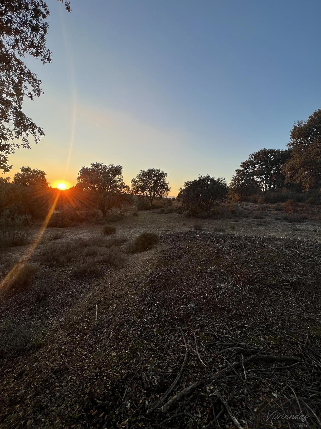Venta de finca rústica en Sevilla la Nueva