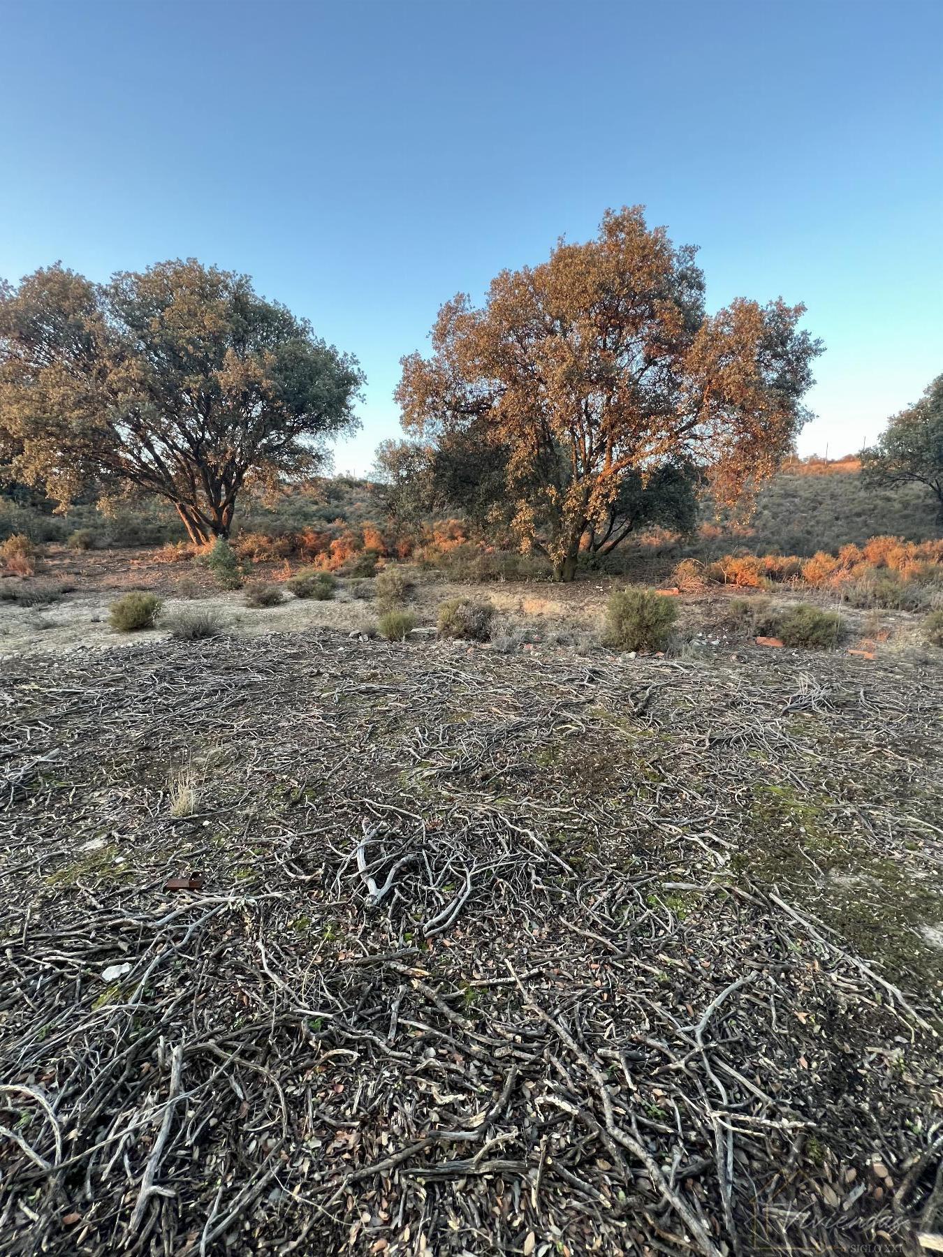 Venta de finca rústica en Sevilla la Nueva