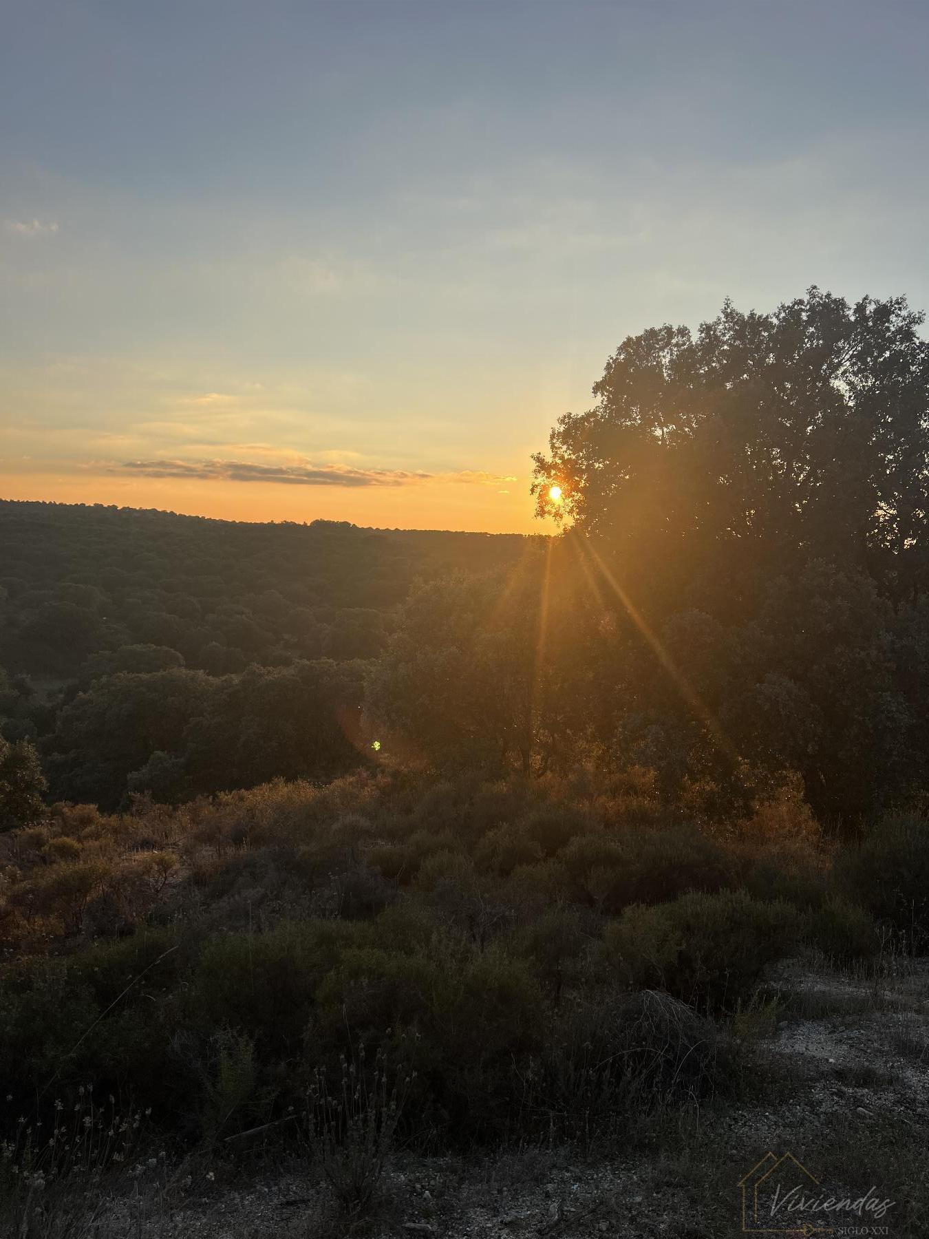 Venta de finca rústica en Sevilla la Nueva