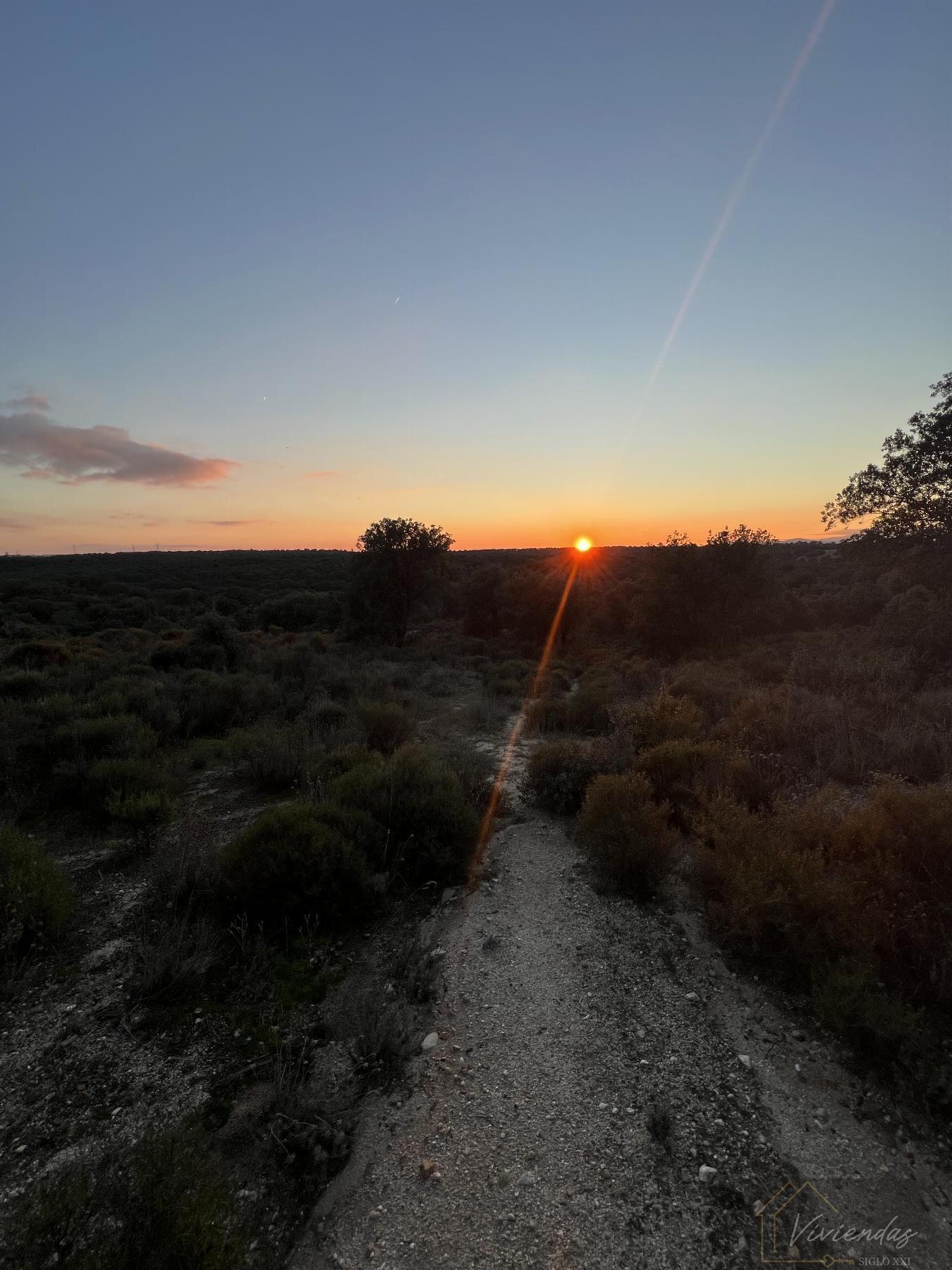 Venta de finca rústica en Sevilla la Nueva