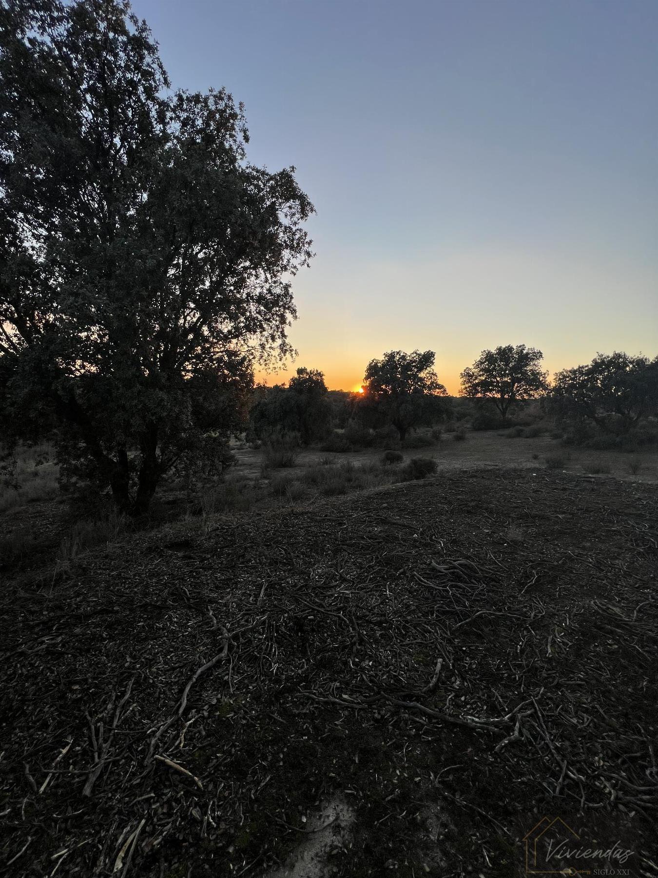 Venta de finca rústica en Sevilla la Nueva