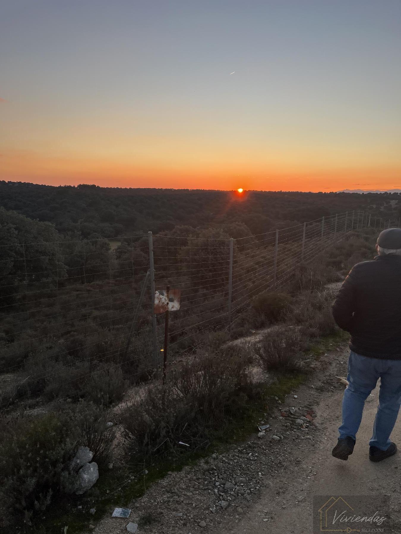 Venta de finca rústica en Sevilla la Nueva
